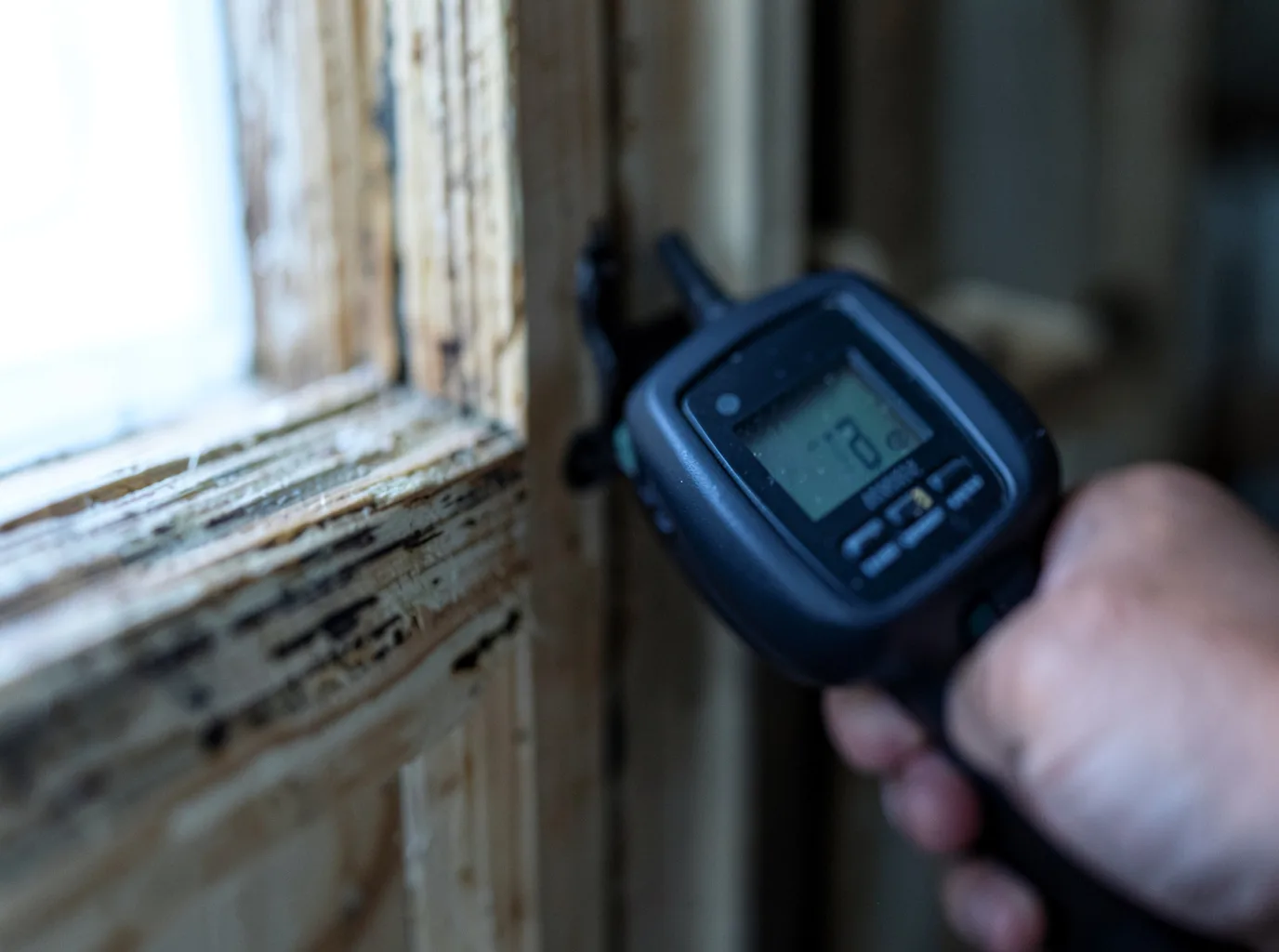Moisture Inspection And Documentation in Houstonia, MO